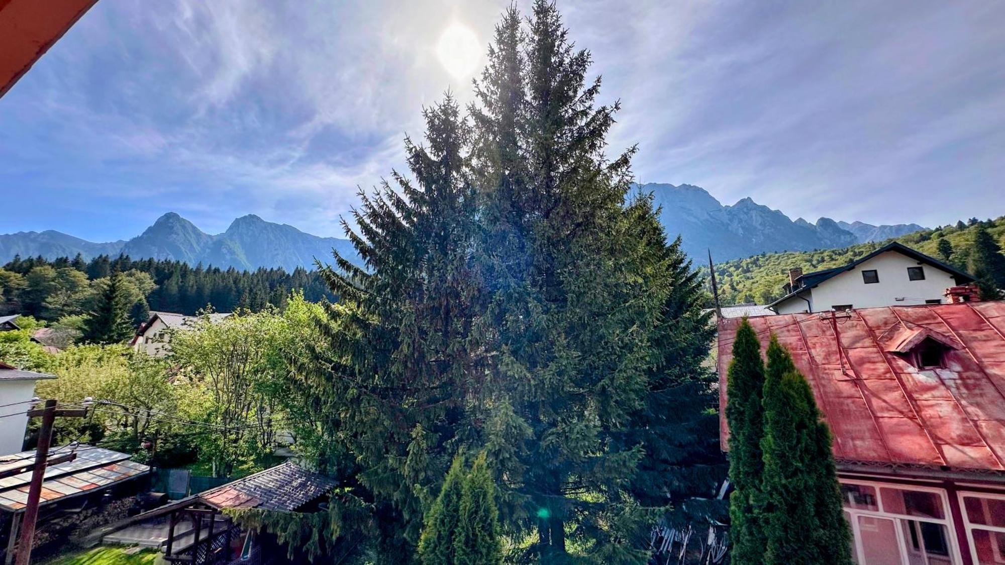 Buşteni Valea Alba View - Self Check-In酒店 外观 照片
